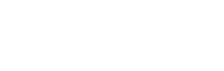 logo-alan